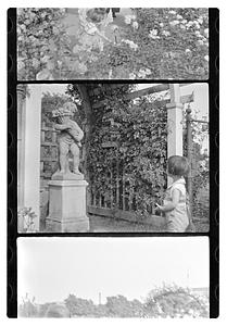 A girl looking at a statue, rose garden
