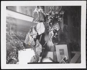Wilting plant