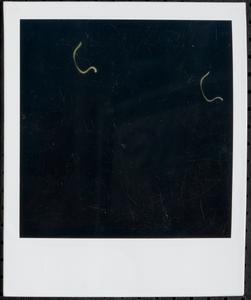 Undeveloped photo