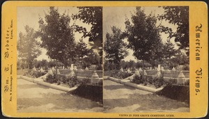 Views in Pine Grove Cemetery, Lynn