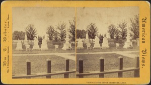 Views in Pine Grove Cemetery, Lynn