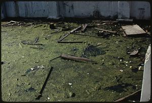 Harbor debris in foundation of new building