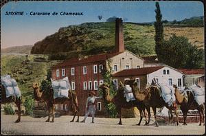 Smyrne. Caravane de chameaux