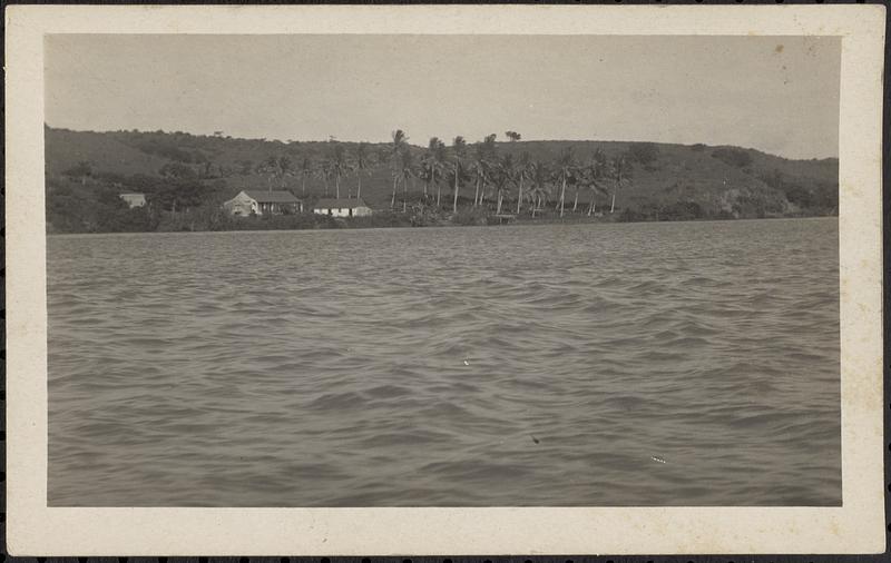 View on the River Papaloapan between Alvarado & Tlacotalpan