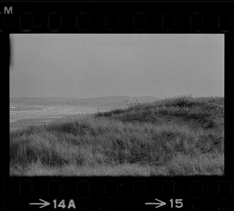 Plum Island refuge, beach, and dunes