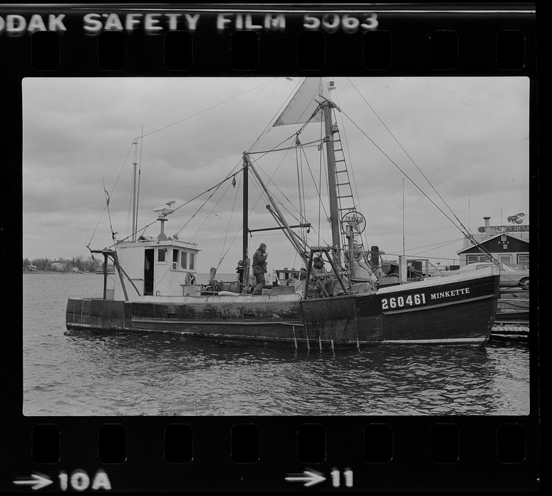 Scallop boats tied up