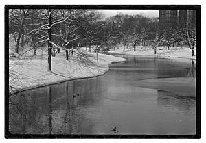 Snow pictures - Fenway