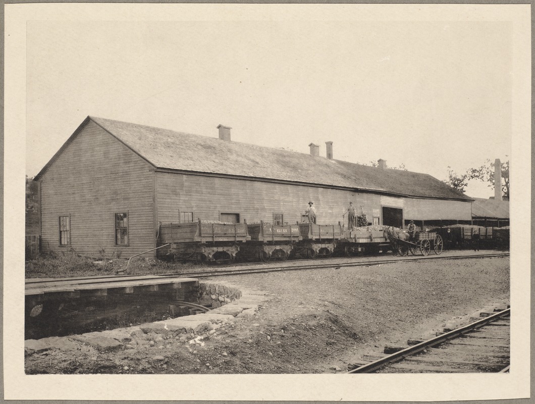 Peirce and Winn Coal Company