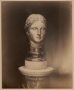 Female head