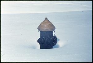 Fire hydrant in deep snow, Arnold Arboretum