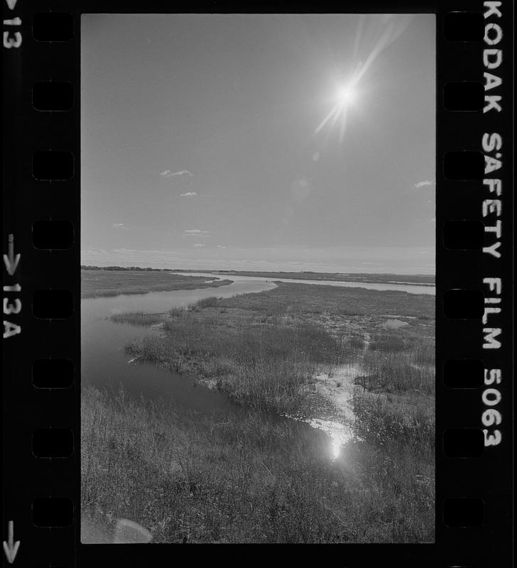 Plum Island river