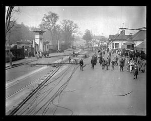 Electric lines down by Mount Auburn Cemetery, Cambridge
