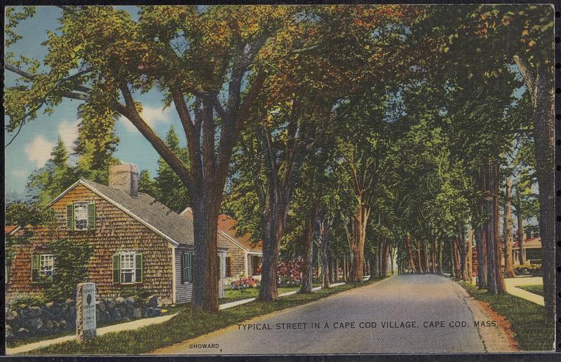 Typical street in a Cape Cod village, Cape Cod, Mass. - Digital ...
