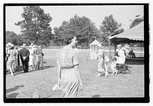 Dog show municipal hunt club