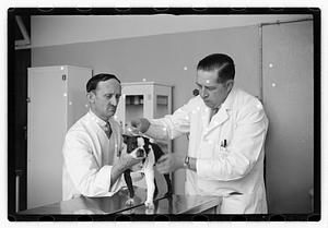 Dr. Dailey Angell Memorial Animal Hospital