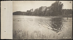 Distribution Department, Low Service Spot Pond Reservoir, looking towards Lark Meadows from Cranberry Cove [Hammer Neck?] (Lark Meadows from southeast), Stoneham, Mass., Jul. 1898