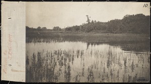 Distribution Department, Low Service Spot Pond Reservoir, Sheep Pasture Point area [Basket Cove?] (Kingfisher Hill), Stoneham, Mass., Jul. 1898