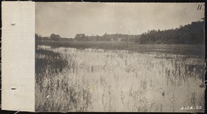 Distribution Department, Low Service Spot Pond Reservoir, Basket Cove / Morning Meadow (Kingfisher Hill and Basket Cove), Stoneham, Mass., Jul. 1898