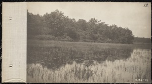 Distribution Department, Low Service Spot Pond Reservoir, western shore near Hub Hill (Storm Shore), Stoneham, Mass., Jul. 1898