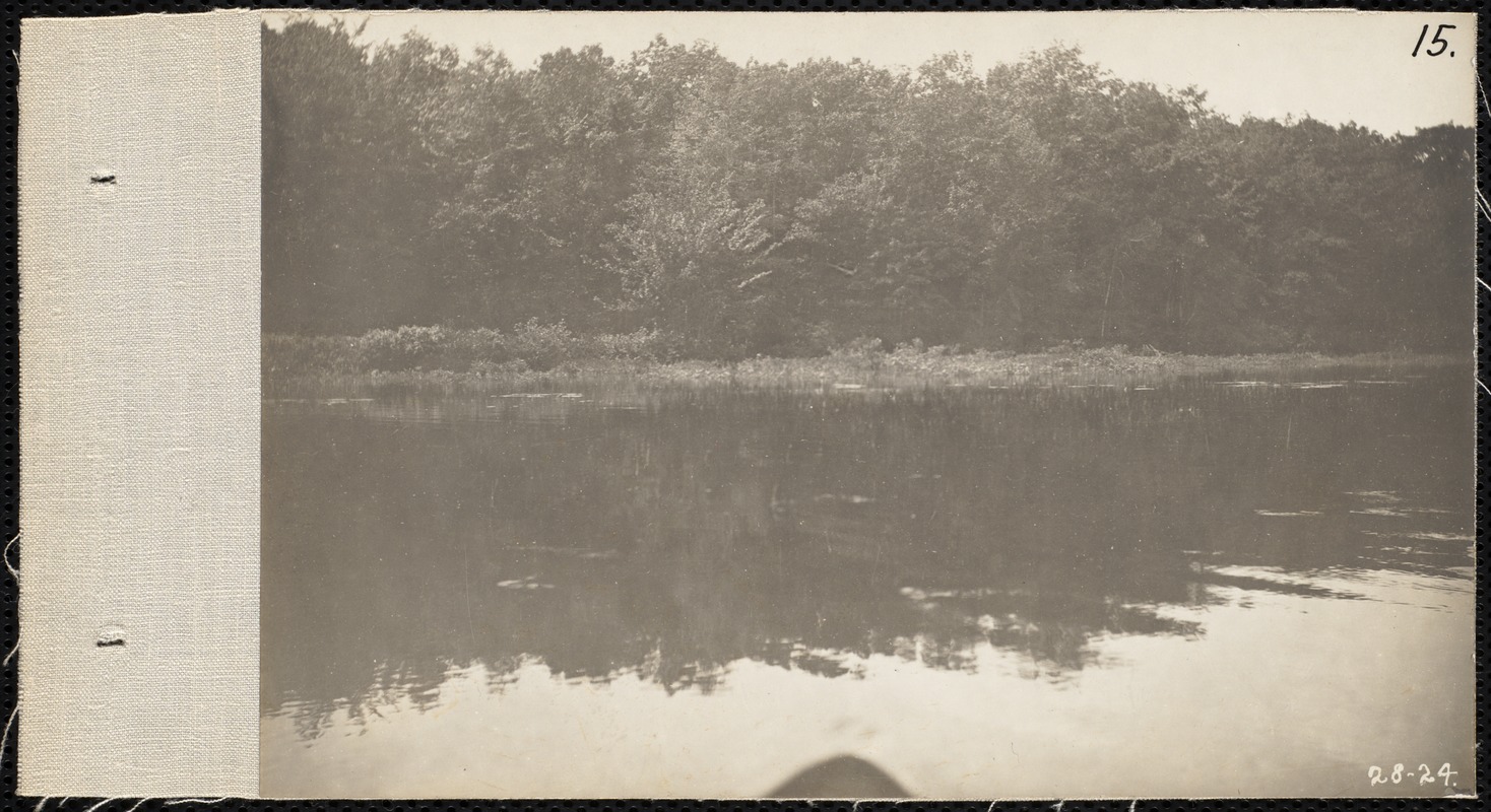 Distribution Department, Low Service Spot Pond Reservoir, western shore, south of Ben's Cove (Eastern Deer Hill shore), Stoneham, Mass., Jul. 1898