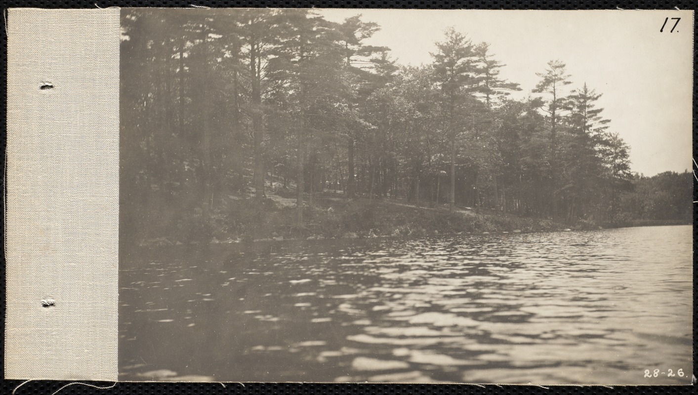 Distribution Department, Low Service Spot Pond Reservoir, east of Porter Cove / Spot Pond Grove (Spot Pond Grove), Stoneham, Mass., Jul. 1898