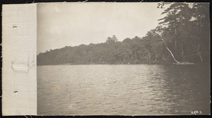 Distribution Department, Low Service Spot Pond Reservoir, Hadley Cove [Ice Boat Cove?] (near Ellen Dale Dyke on shore), Stoneham, Mass., Jul. 1898