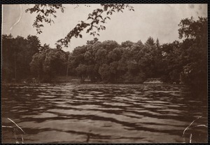 Distribution Department, Low Service Spot Pond Reservoir, Old Pepe's Cove, willows; verso, "from boat; note glimpse of house", Stoneham, Mass., Jul. 1898