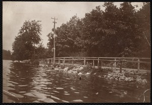 Distribution Department, Low Service Spot Pond Reservoir, Pond Street shore, northwest of Old Pepe's Cove; verso, "from boat; shows part of the long line of shore drive; note the height of vegetation across the street above the level of the road; a place where a rise of 6 feet would work little injury", Stoneham, Mass., Jul. 1898