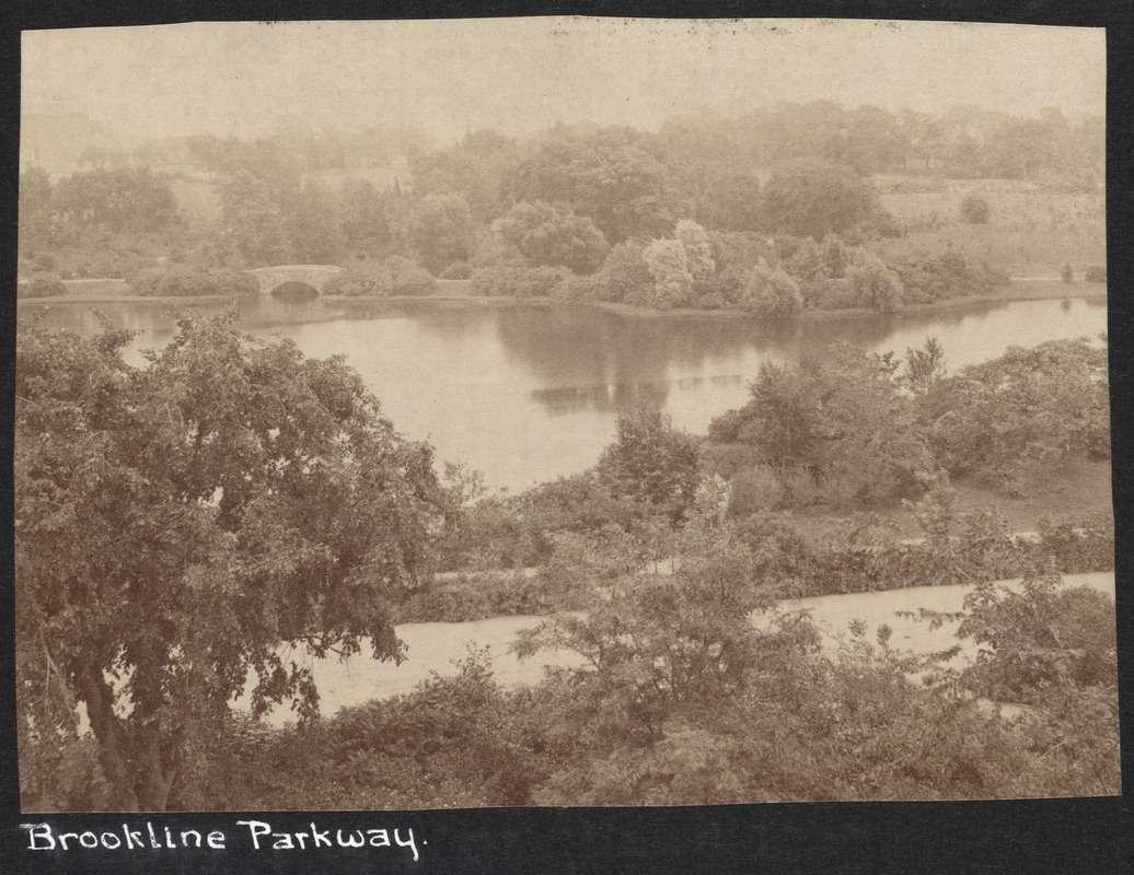 Brookline Parkway