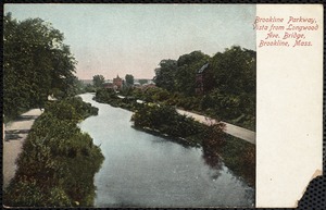 Brookline Parkway, vista from Longwood Ave. Bridge, Brookline, Mass.