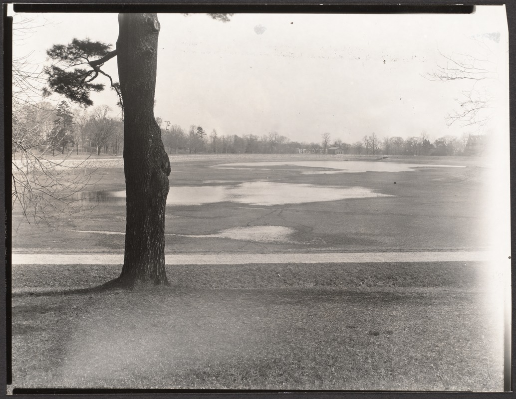 Brookline Reservoir