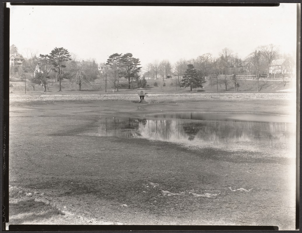 Brookline Reservoir