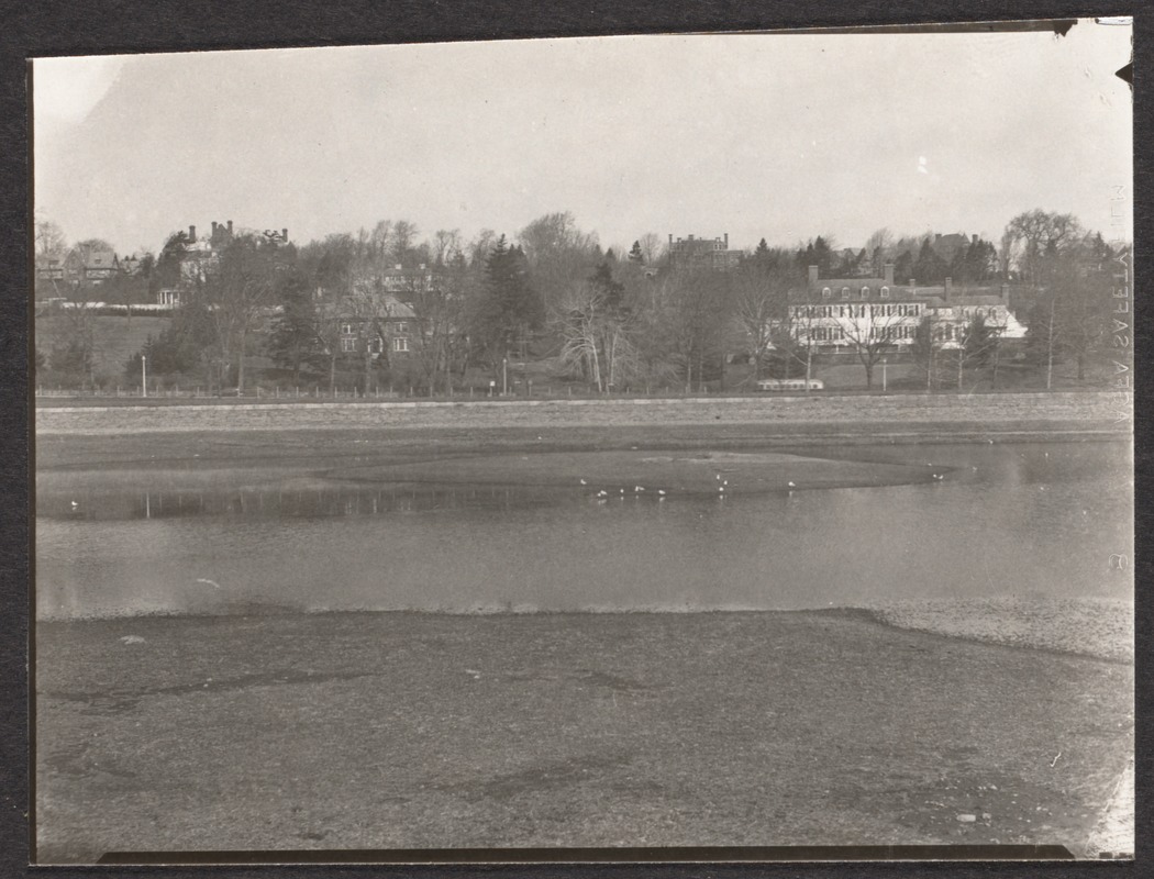 Brookline Reservoir