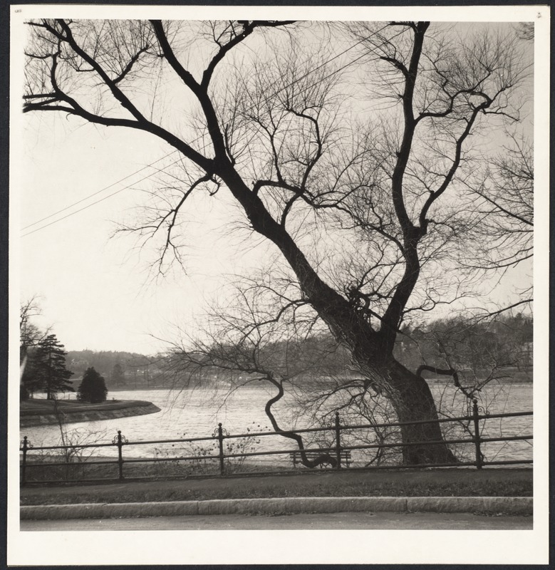 Brookline Reservoir, Boylston St.