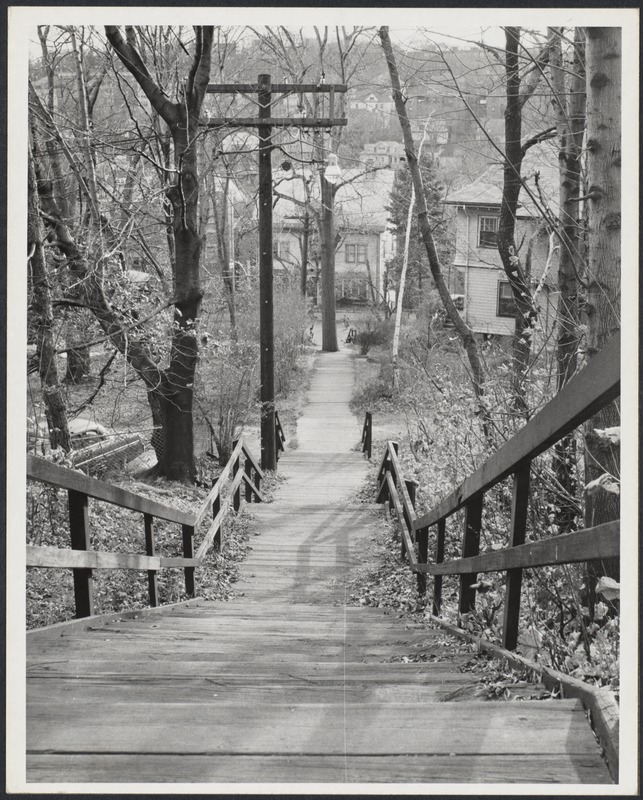 Summit Ave Path