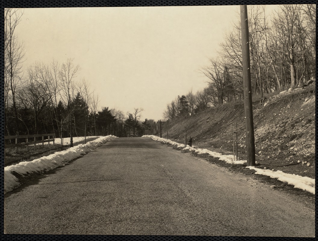 Wallis Road looking north