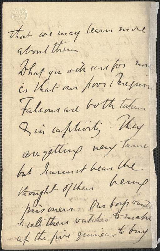 Emily Tennyson autograph letter signed (incomplete) to Mrs. Gatty