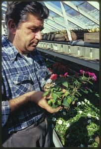 City of Boston Park Dept. Greenhouses at Franklin Park