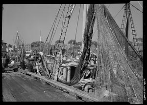 Gloucester, marine