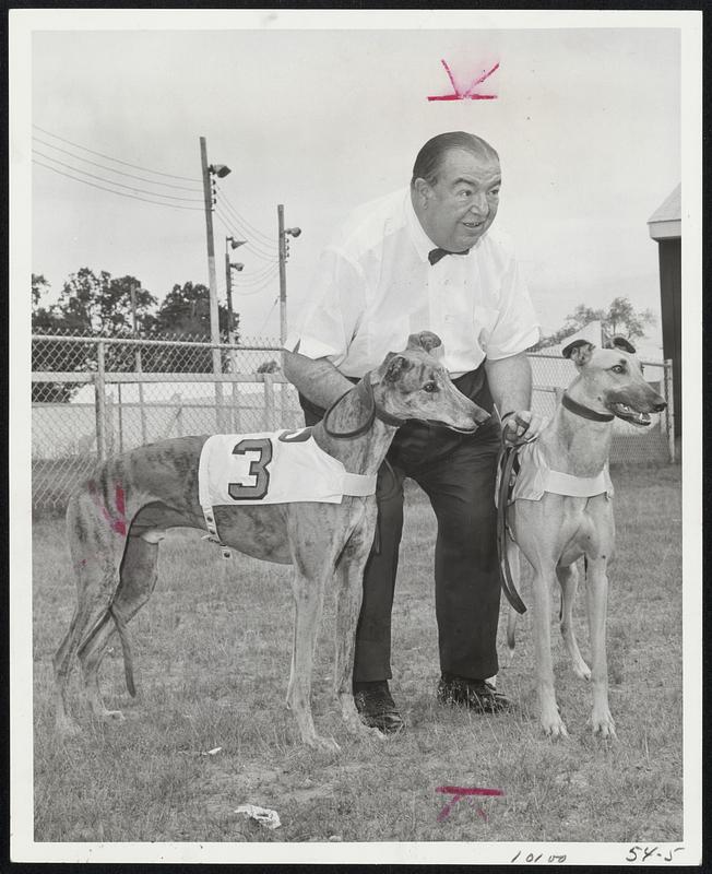 Topsfield's Best - T.M. Best and T.M. Casey, speedster greyhounds owned by Ted Meadows of North Andover, are held by President Tommy Maren before workout prior to opening of Topsfield Fair Aug. 30.