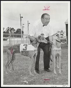 Topsfield's Best - T.M. Best and T.M. Casey, speedster greyhounds owned by Ted Meadows of North Andover, are held by President Tommy Maren before workout prior to opening of Topsfield Fair Aug. 30.