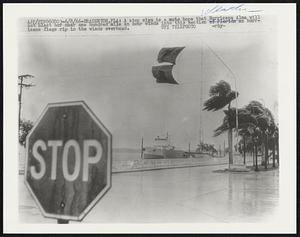 A stop sign is a mute hope that Hurricane Alma will not blast her near one hundred mile an hour winds into this section of Florida as hurricane flags rip in the winds overhead.