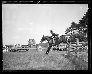 Horse jumping