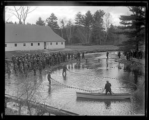 Salmon hatching, Raymond, Maine