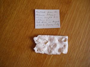 Hardtack