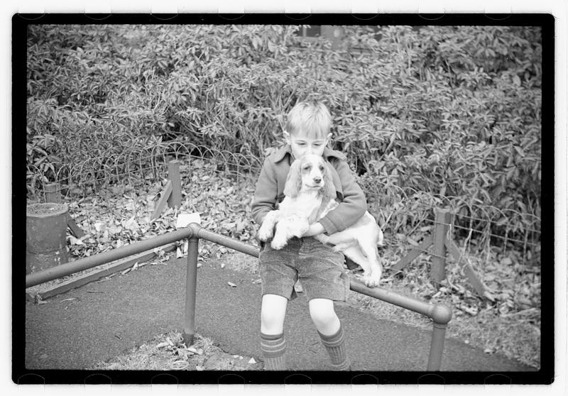 Idahurst Kennels