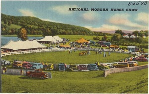 National Morgan Horse Show