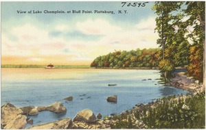 View of Lake Champlain, at Bluff Point, Plattsburg, N. Y.