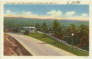 Park Avenue. High Point Monument in distance. Port Jervis, N. Y.