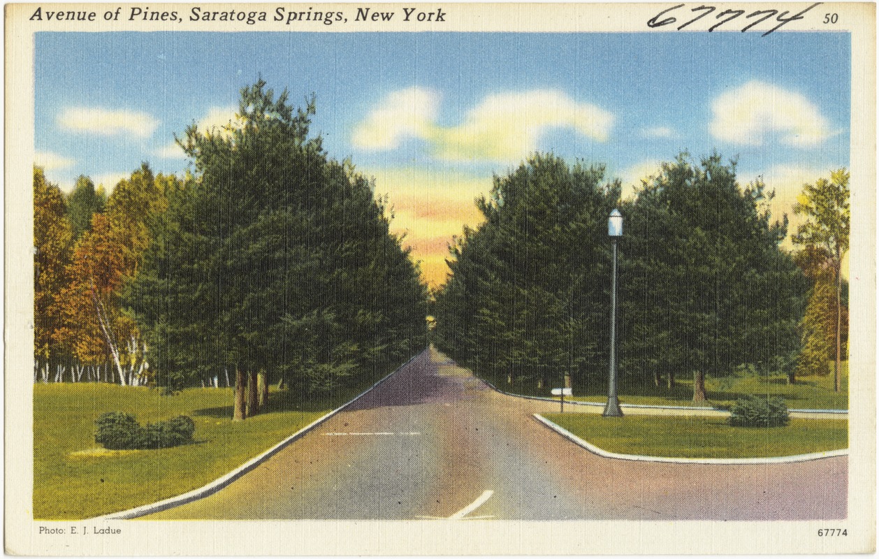 Avenue of pines, Saratoga Springs, New York